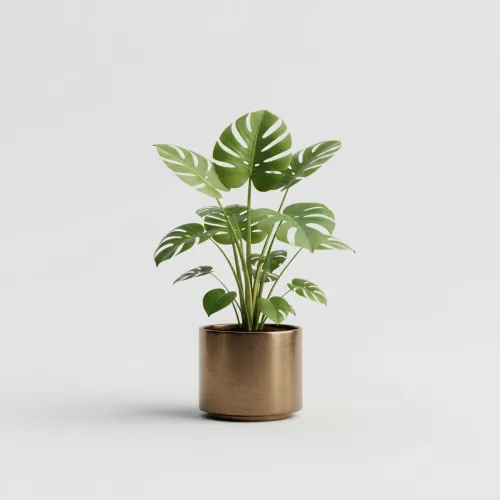 Smooth Ceramic Planter