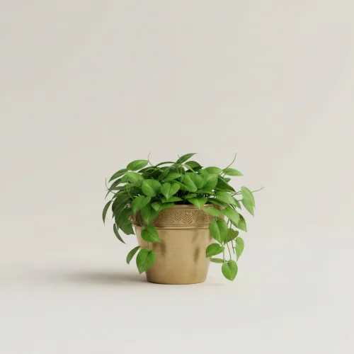 Dekorativní květináč s reliéfem